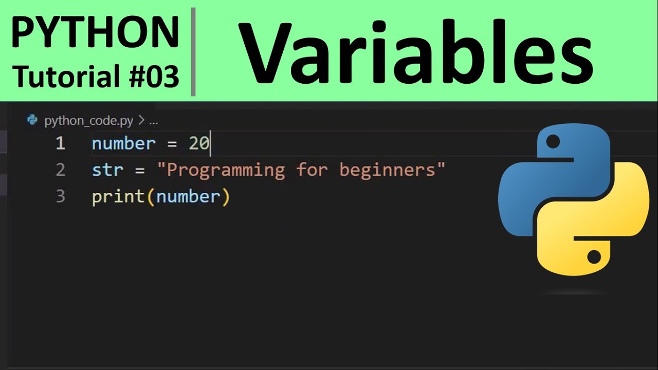 Python Tutorial #3 - Python Variables, Constants And Literals - YouTube