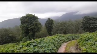 Kerala estate 100 years old British Bungalow | 100ലേറെ വർഷം പഴക്കമുള്ള ബ്രിട്ടീഷ് ബംഗ്ലാവ്