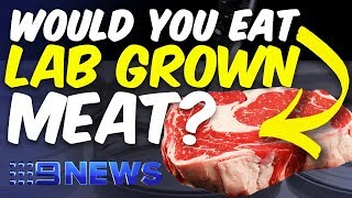 How Australian scientists are growing kangaroo meat in a lab | Nine News Australia