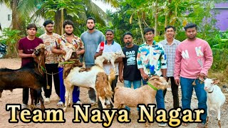 Naya Nagar (Mira Road) Ki Puri Gang Ke Bakre at Quality Goat Farm, Uttan