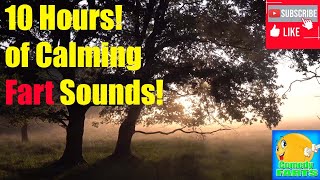 10 Hours of Calming Fart Sounds to Fall Asleep to, Meditation, Relaxation,