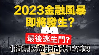 金融危機 2023 | 有什麼 對策 | 美股 要跌了? | 1個指標揭金融危機正在蘊釀 | 10間銀行步後塵 | 大行預測65%經濟將嚴重衰退