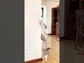 Kocar kacir #funny #shorts #cat #viral #cats  #akungchannel #tiktok