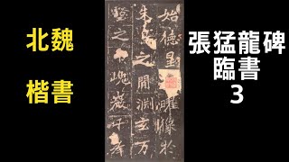 서예 장맹룡비 3 張猛龍碑 3 북위 해서 書道 書法 calligraphy