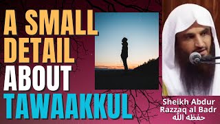 A SMALL DETAIL ABOUT RELIANCE/TAWAKKUL - Sheikh Abdur Razzaq al Badr حفظه الله