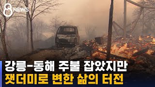 강릉-동해 산불 주불 진화됐다…특별재난지역으로 선포 / SBS