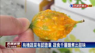 有機蔬菜烹煮高麗菜粥 清爽甘甜－民視新聞