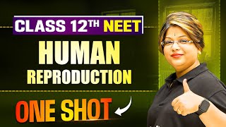 HUMAN REPRODUCTION in 1 Shot || All Concepts & PYQs Covered || Prachand NEET