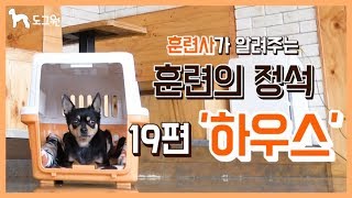 [도그원 Pet TV] 강아지 훈련의 정석 19편 하우스 훈련 / 훈련사가 알려주는 / 애견훈련 / Dog Training