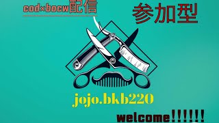 cob：bocw  参加型配信