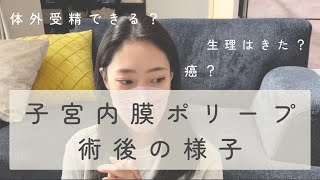 『不妊治療のきろく#10』子宮内膜ポリープ除去、術後の様子