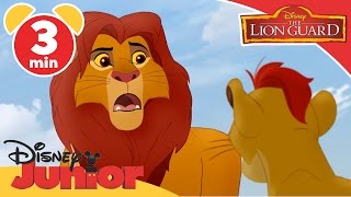 The Lion Guard | The Kupatana Celebration | Disney Junior UK