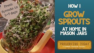 How I Grow Sprouts at Home in Mason Jars