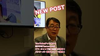 名門大学の寮で生活！7歳～17歳まで参加が可能な語学学校 Tamwood サマーキャンプ紹介！ #shorts