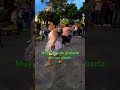 las noches de baladas , centro histórico de San Salvador #musica #baile #humor #latindance