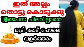 10പൈസ ചിലവില്ലാതെ മുടി കാട് പോലെ വളർത്താൻ ഇത് അല്പം മുടിയിൽ തൊട്ടു കൊടുക്കു 9