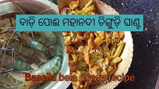 Delicious Basella Bela and Prawn Recipe | Cooking with Fresh Vegetables | ବାଡି ପୋଈ ଚିଙ୍ଗୁଡ଼ି ଘାଣ୍ଟ