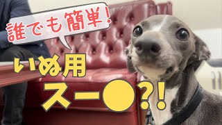 【イタグレ】犬用手作りごはん？！