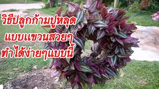 เคล็ดลับวิธีปลูกก้ามปูหลุดแบบแขวนสวยๆ#ก้ามปูหลุด#diy#ไม้มงคลเสริมโชคลาภ #ไม้ฟอกอากาศ #จัดสวน