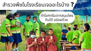 การจัดกิจกรรมการเรียนการสอนที่บูรณาการด้วย TPACK + CLIL + PBL + CBL