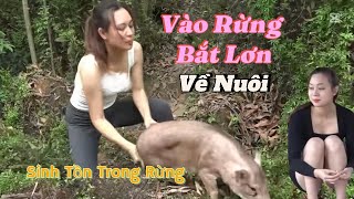 24h Sinh Tồn Trong Rừng - Vào Rừng Bắt Lợn Về Nuôi - Sinh Tồn Tự Nhiên