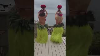 Hawaiian 🌺 girls #dance #hawaii #dancevideo #show