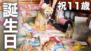 長年外飼いだった愛犬コロちゃんの誕生日会を室内で開催した反応がこちらです