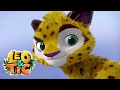 Leo & Tig 🦁 LIVE 🍿 BEST EPISODES 🐯 Super Toons TV