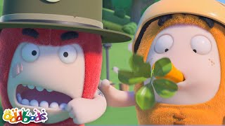 Slick Better Not Slack Off 💪 Oddbods | Cartoons For Kids | Funny Cartoon | After School Club