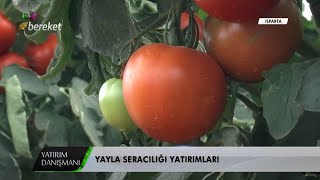 Yatırım Danışmanı - Yayla Seracılığı ve Sera Yatırımları / 3.Bölüm