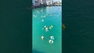 Zurich 🇨🇭 Switzerland Limmat river Swim 🏊😁👍 #zurich #schwimmen