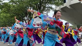 七福よさこい連 祝禧（2024スーパーよさこい・一日目・NHK前ストリート）