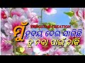 ମୁଁ ହୃଦୟ ଦେଇଛି ସାରିଛି old albom hits yangstar creation yangstaar akash jajpur sukinda