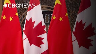 Human rights activist 'never thought' China would target 'ordinary Canadians' like himself