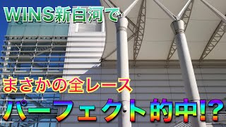 パーフェクト馬券!?波乱を呼ぶWINS新白河で高配当狙いをしたら凄い事が起きた