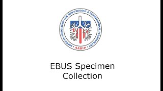 EBUS Specimen Collection