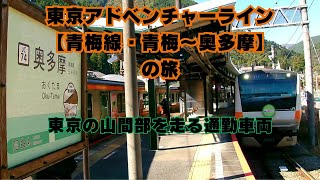 東京アドベンチャーライン【青梅線・青梅～奥多摩】の旅～東京の山岳地帯を走るE233系通勤車両～