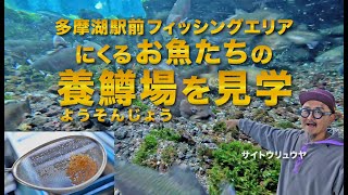 楽しい大人の社会科見学！清養鱒場さんにお邪魔して、富士の介たちに会ってきた！