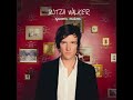 butch walker 2008 sycamore meadows full album