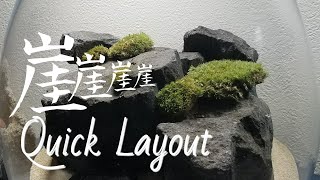 Quick Layout【アクアリウムレイアウト集】Aquascape#13