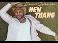 New Thang - David Sylvester