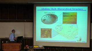 Biological Materials and Mechanics