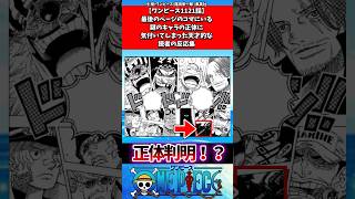 【ワンピース1121話】最後のページのコマにいる謎のキャラの正体に気付いてしまった天才的な読者の反応集 #ワンピース