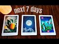 Pick a Card 🌟💜🌟 Next Seven Days🙏🏻🧿🌟