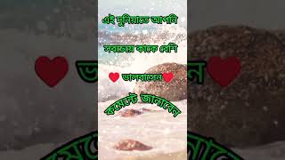 এই দুনিয়াতে আপনি সবচেয়ে কাকে বেশি ভালোবাসেন ♥️#islamicvideo #shortsvideo #viralvideo #allahﷻ