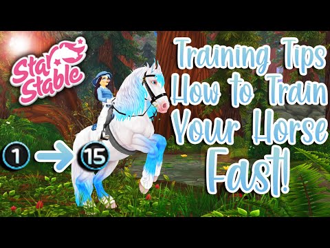 SSO training tips! How to quickly get the best out of your horse!