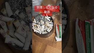 禁煙したくなる動画#shorts #禁煙 #たばこ