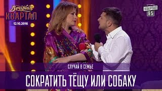 Номер на бис: Сократить тёщу или собаку - случай в семье |  Вечерний Квартал 12.11.2016