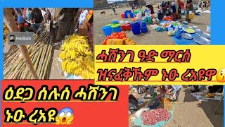 ዕደጋ ሰሉሰ ሓሸንገ ኑዑ ረአዩ 😱 ሓሸንገ ዓድ ማርሰ ዝናፈቅኹም ኑዑ ረአዩ😱😱