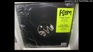 KAM  peace treaty ( lp version 4,02 ) 1992.